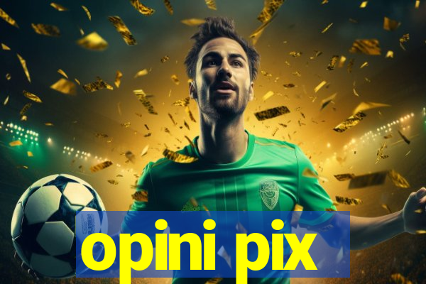 opini pix